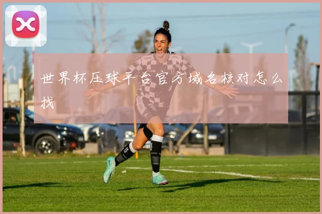 世界杯压球平台官方域名核对怎么找