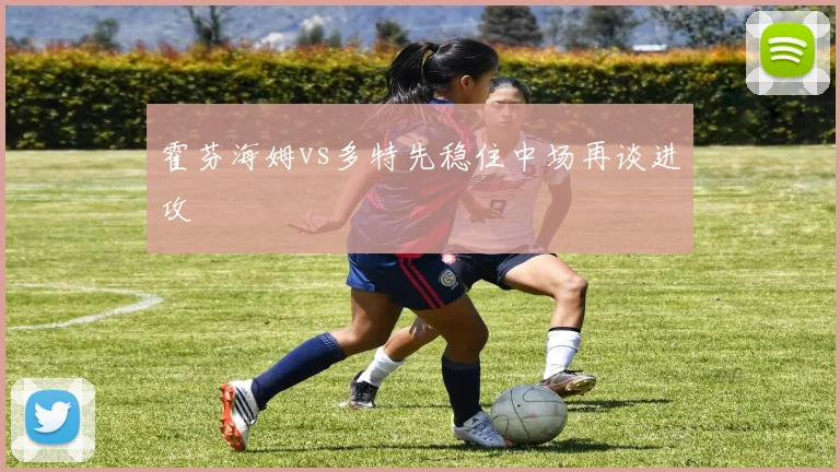 霍芬海姆vs多特先稳住中场再谈进攻