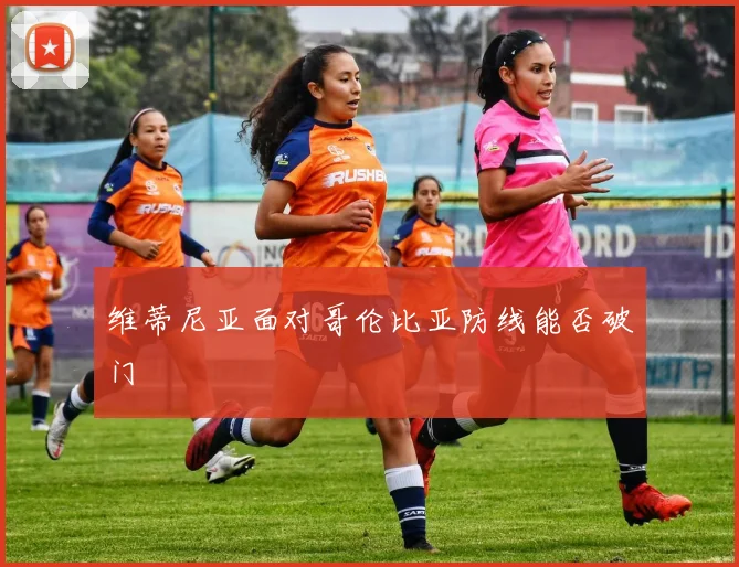 维蒂尼亚面对哥伦比亚防线能否破门