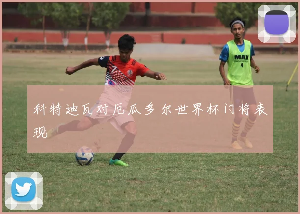 科特迪瓦对厄瓜多尔世界杯门将表现