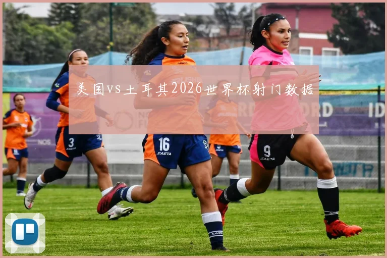 美国vs土耳其2026世界杯射门数据