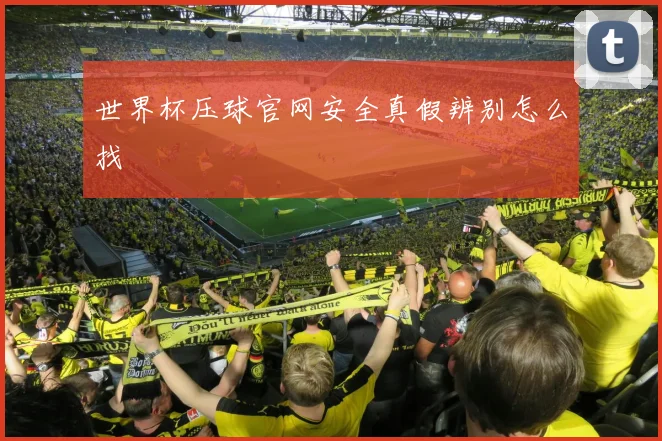 世界杯压球官网安全真假辨别怎么找