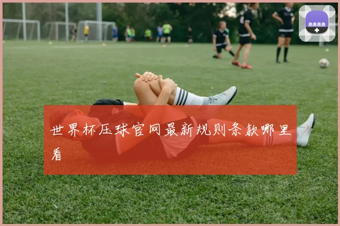 世界杯压球官网最新规则条款哪里看